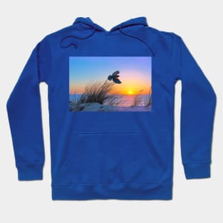 Red Winged Blackbird at Sunset Hoodie